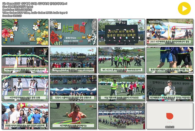 [2017 서구톡톡 33회] 서구체육회 한마음대축제 사진
